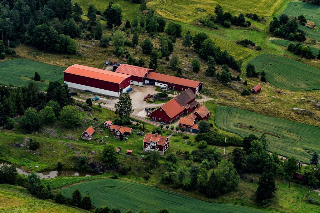 Backgardens Turism & Kultur Villa Kültér fotó